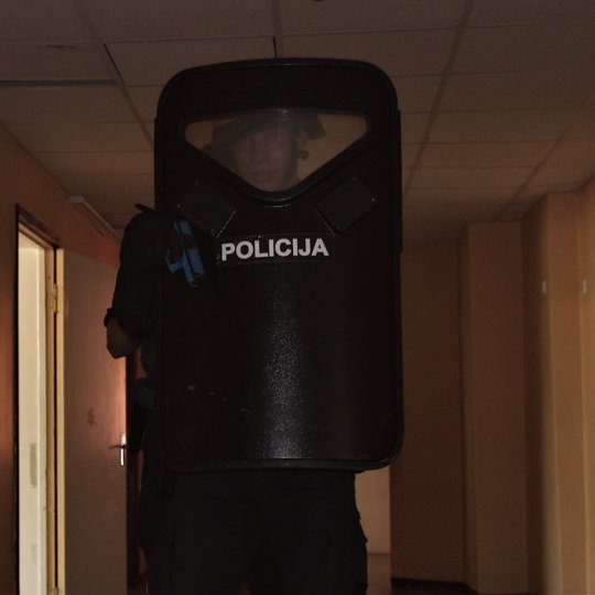 Iliustracija