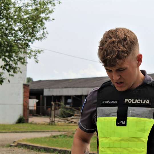 Iliustracija