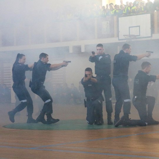 Iliustracija