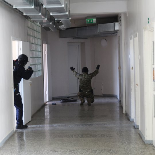 Iliustracija
